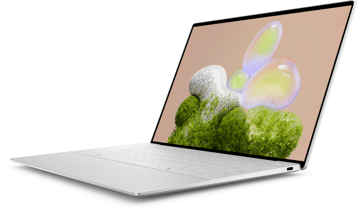 image copy 2